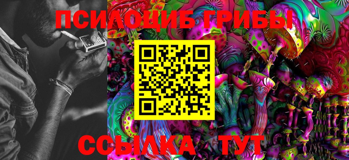 Галлюциногенные грибы Magic Shrooms  Вход с VPN  Ачинск 