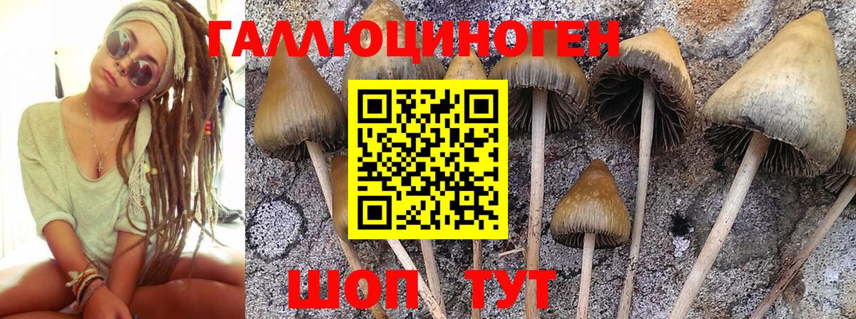 Галлюциногенные грибы ЛСД Ачинск